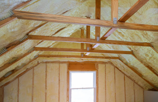 Best Garage Insulation Installation  in USA